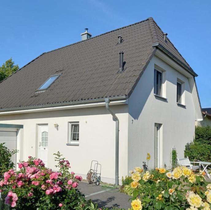 Haus-Am-See-Pratzschwitz ピルナ エクステリア 写真